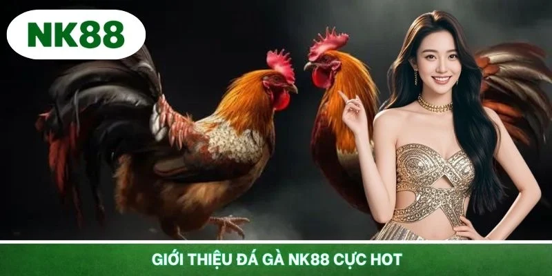 Giới thiệu đá gà NK88 cực hot